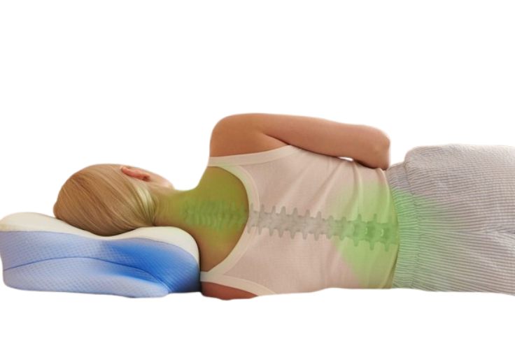 Derila Ergo Pillow neck and spine support